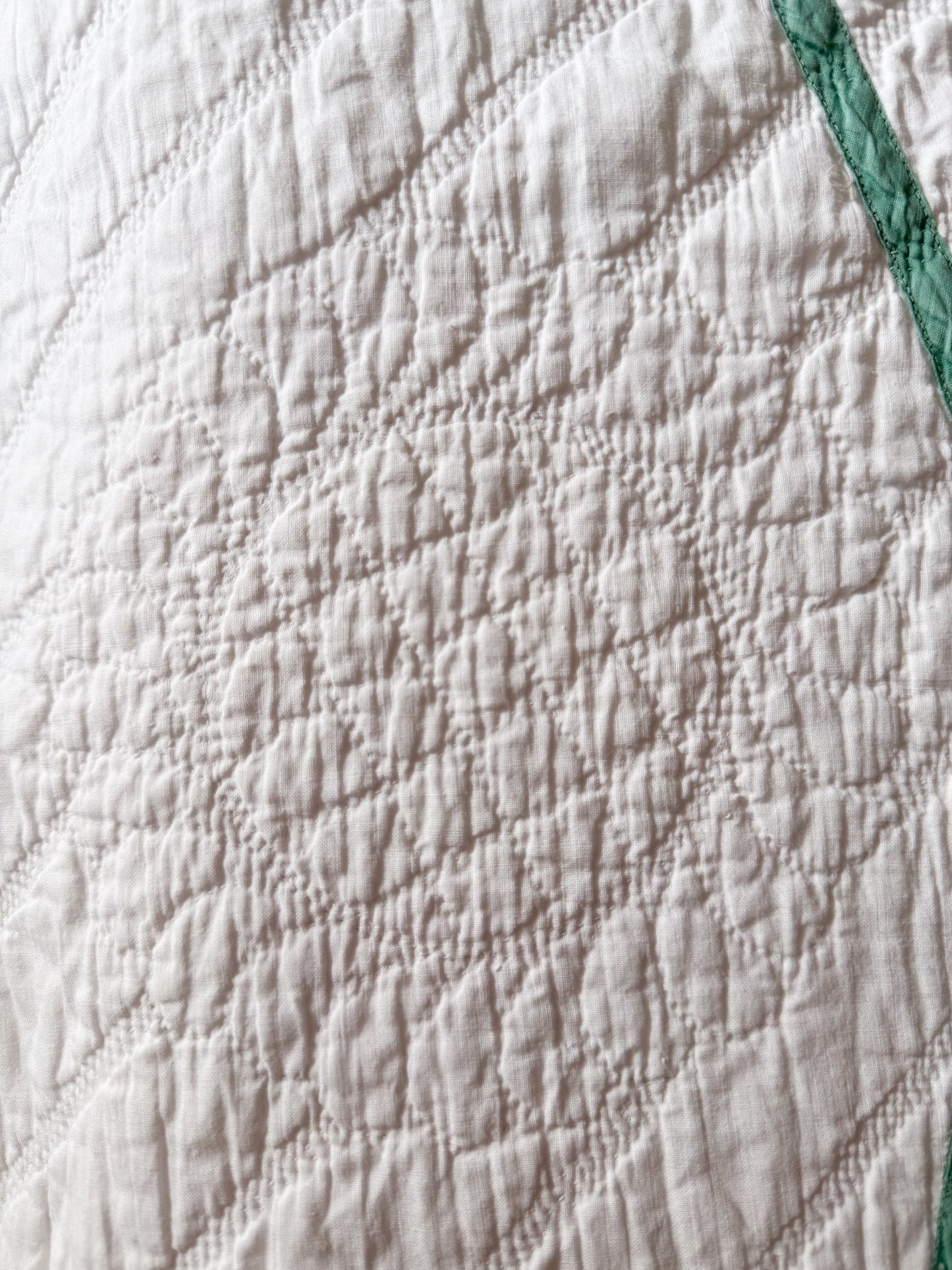 Pair of Vintage Iris Quilts