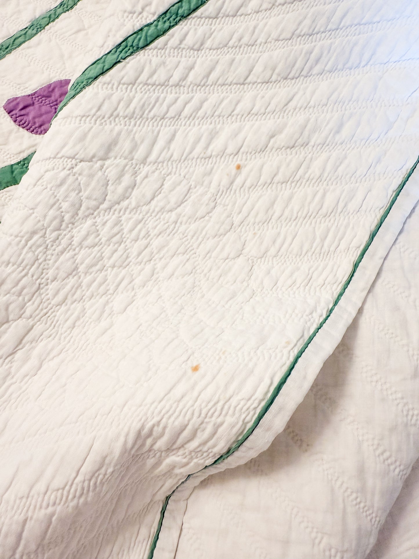 Pair of Vintage Iris Quilts