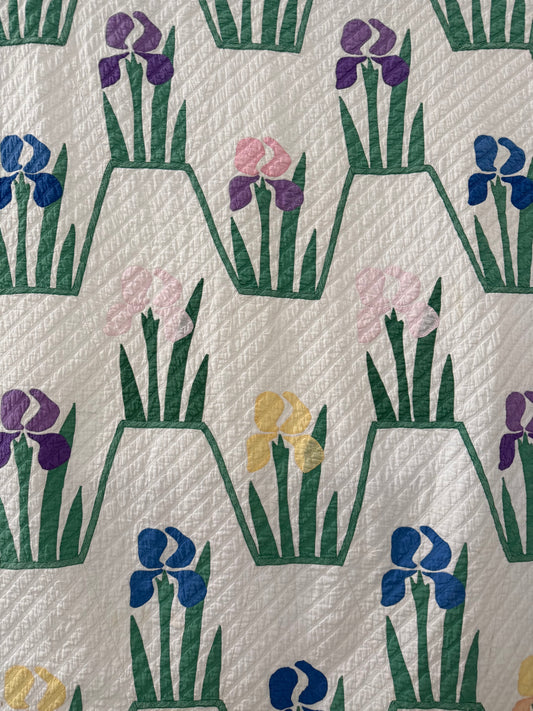 Pair of Vintage Iris Quilts