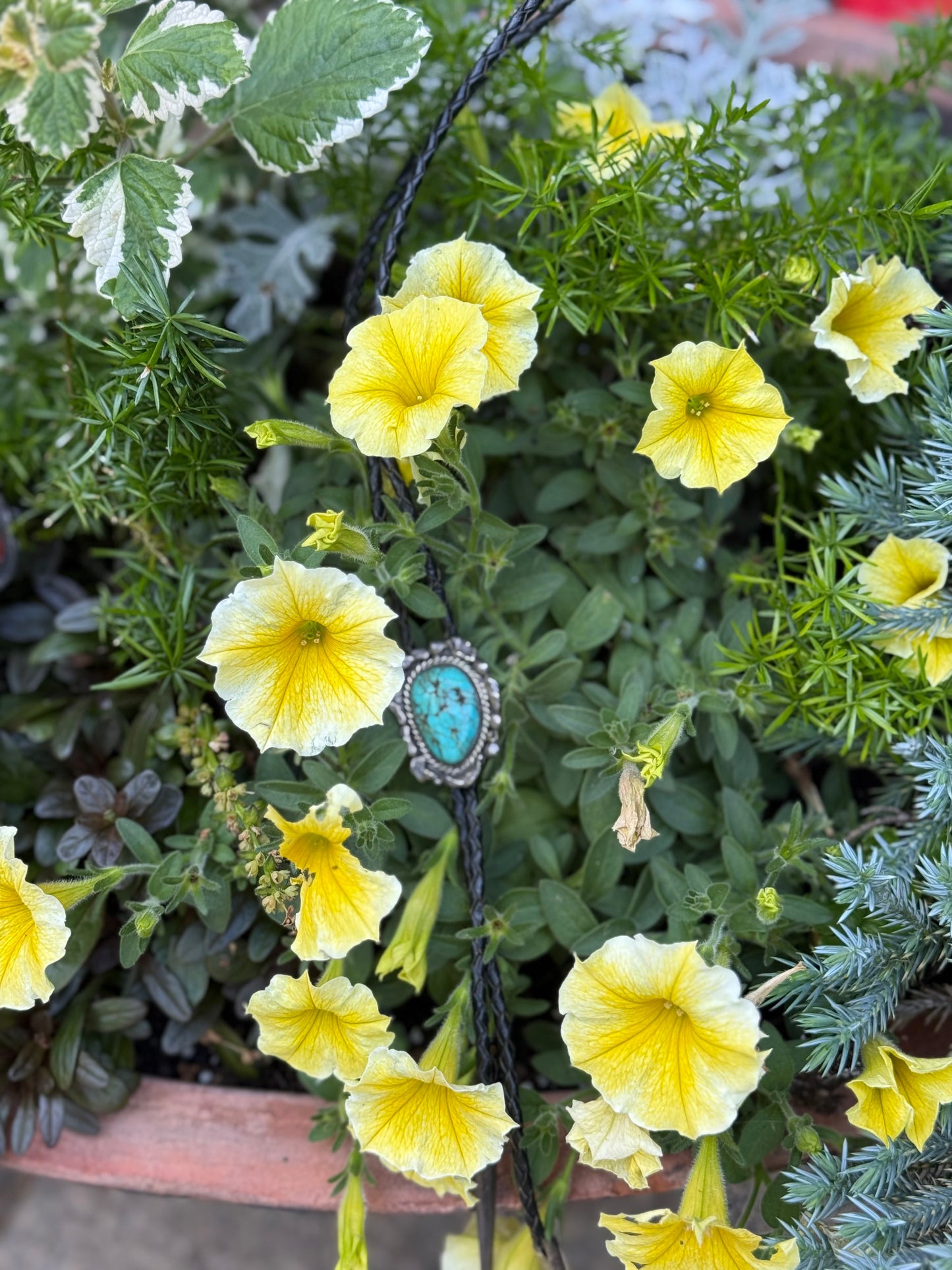 Vintage Turquoise Bolo Tie