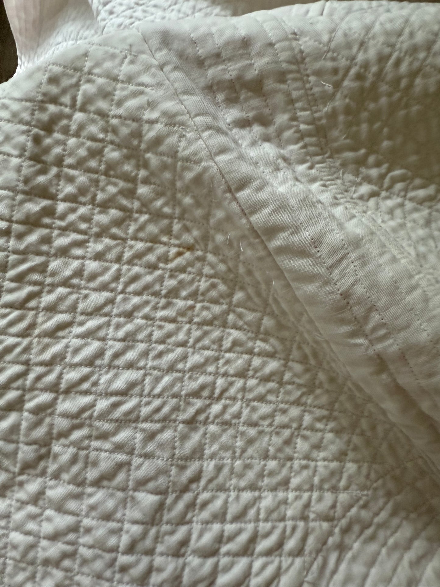Vintage Sunbonnet Sue Quilt