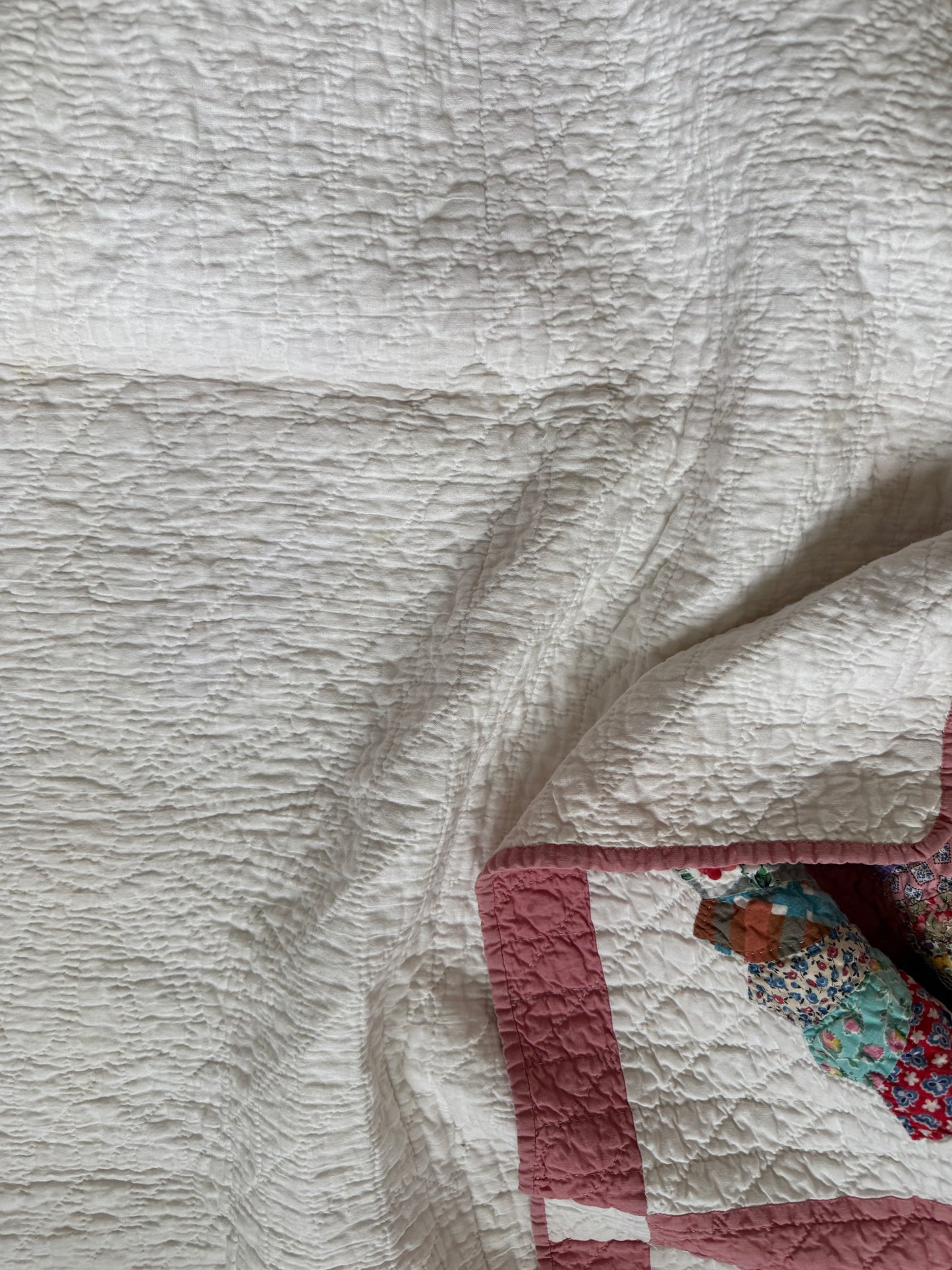 Vintage Dresden Plate Quilt
