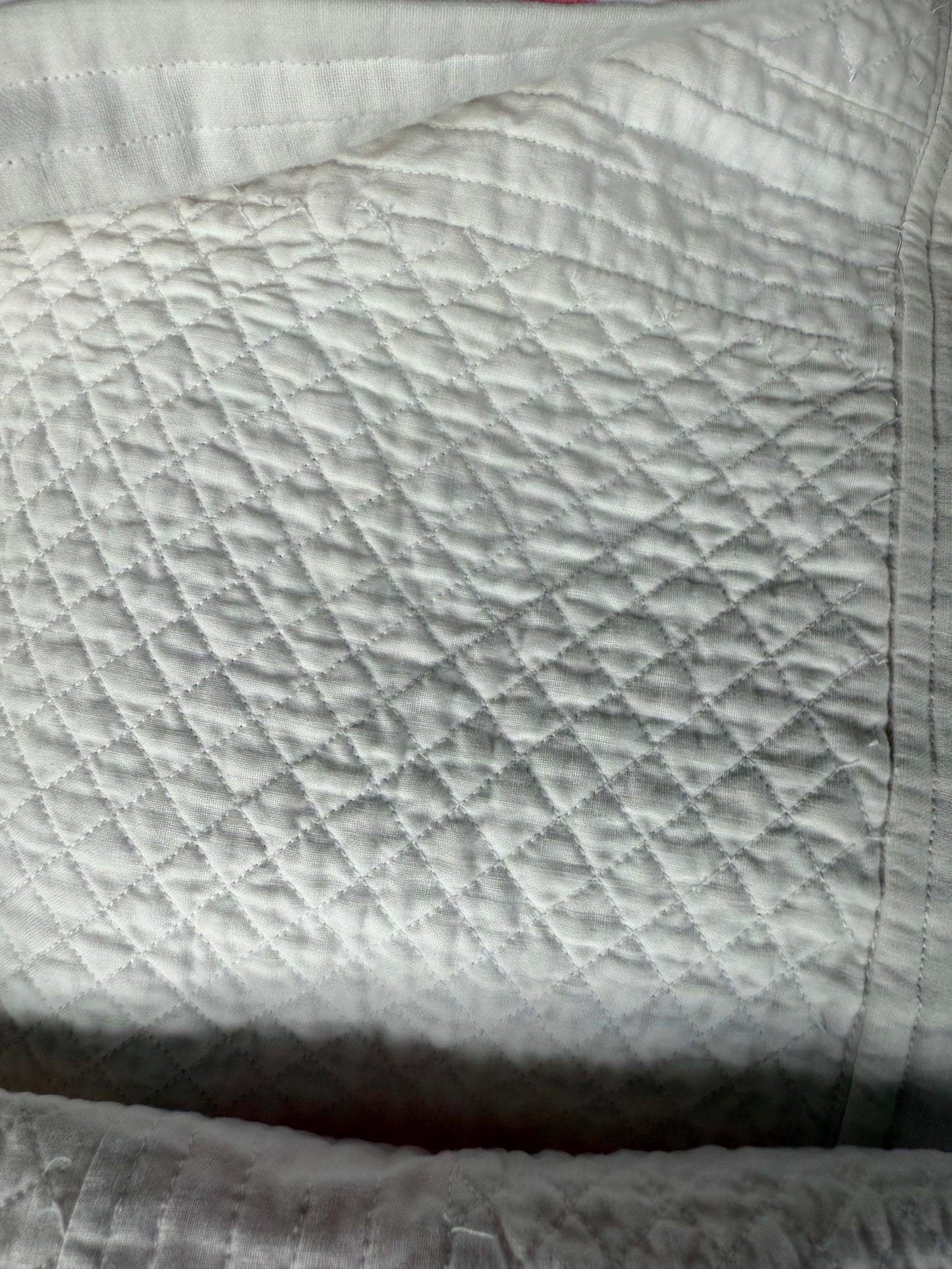Vintage Sunbonnet Sue Quilt