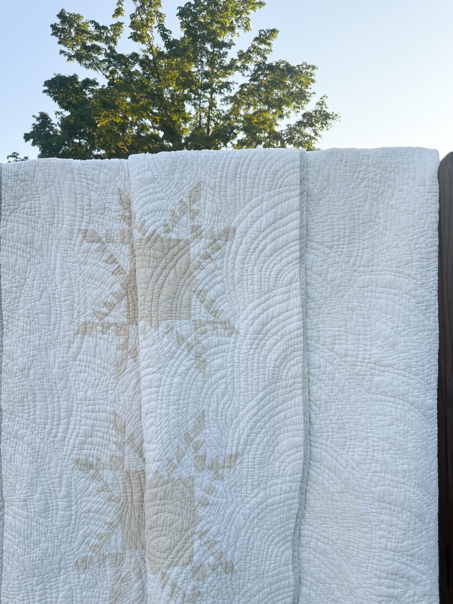 Antique Shattered Star Quilt